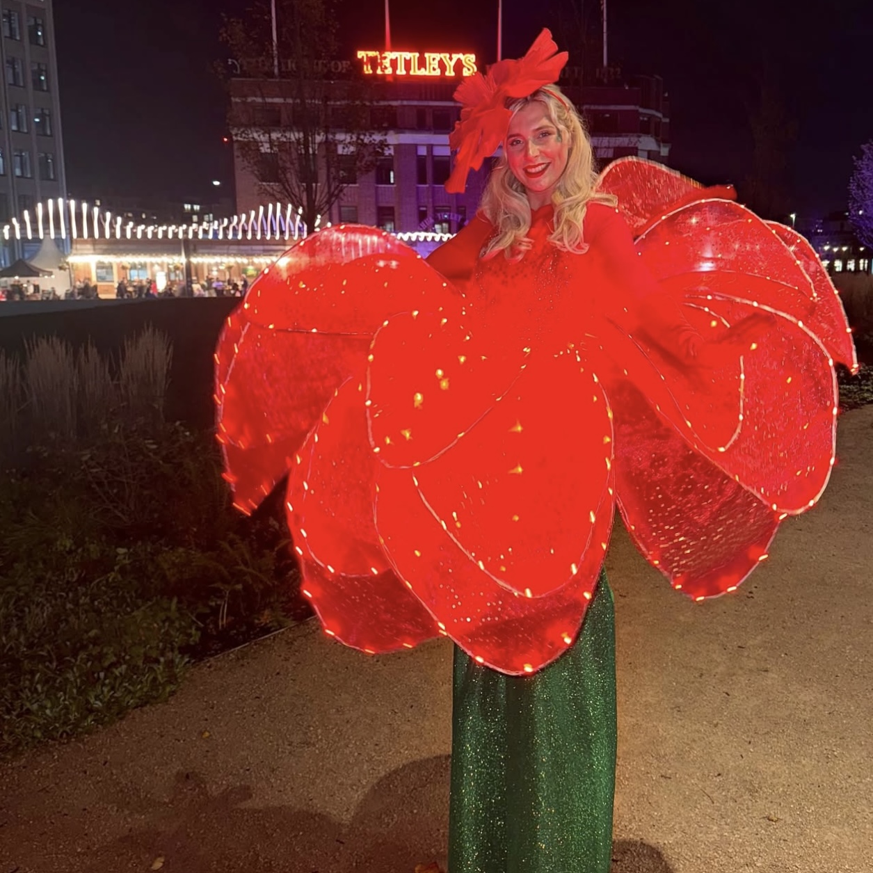 Petals of Light photo