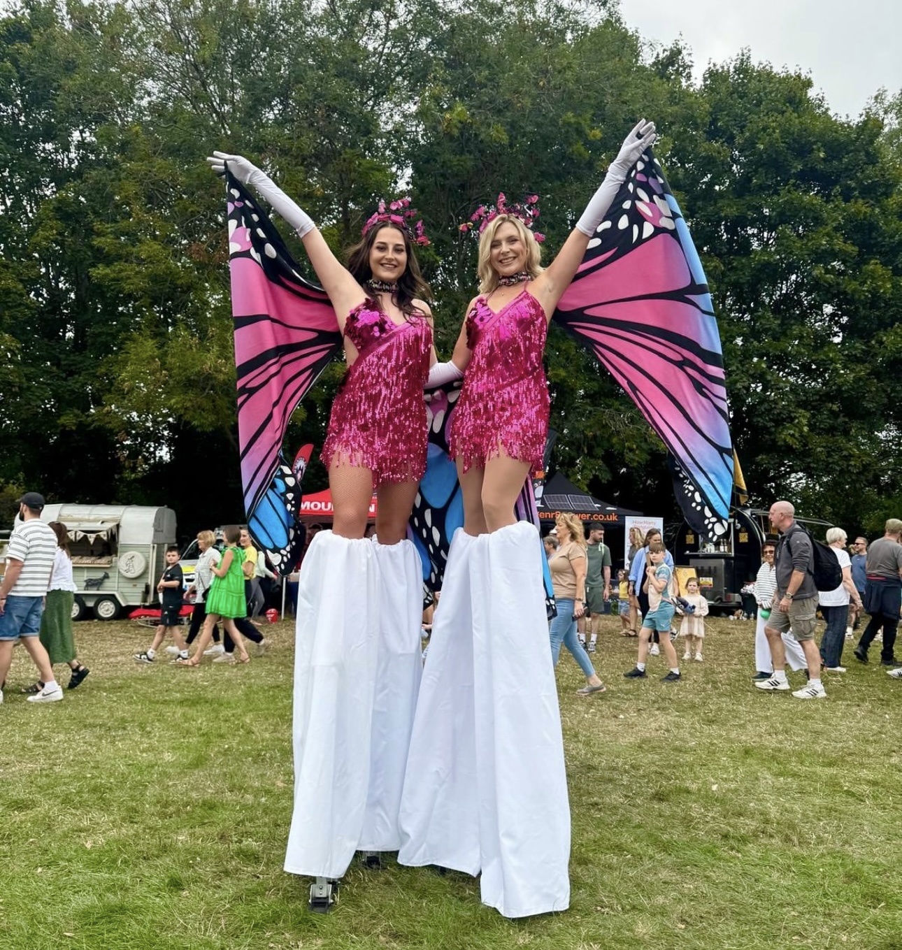 Beautiflies hero image