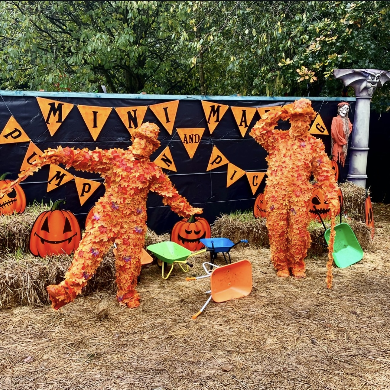 Autumn Leaf Men photo