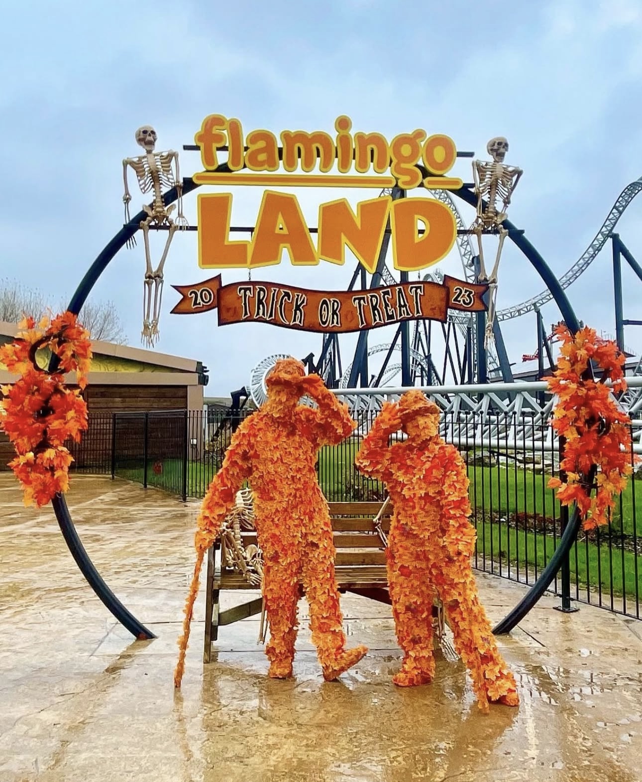 Autumn Leaf Men hero image