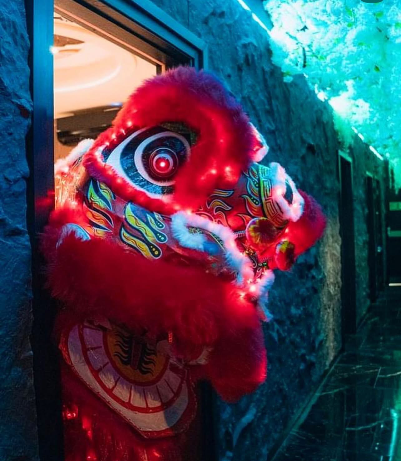 Dragon Lion performance