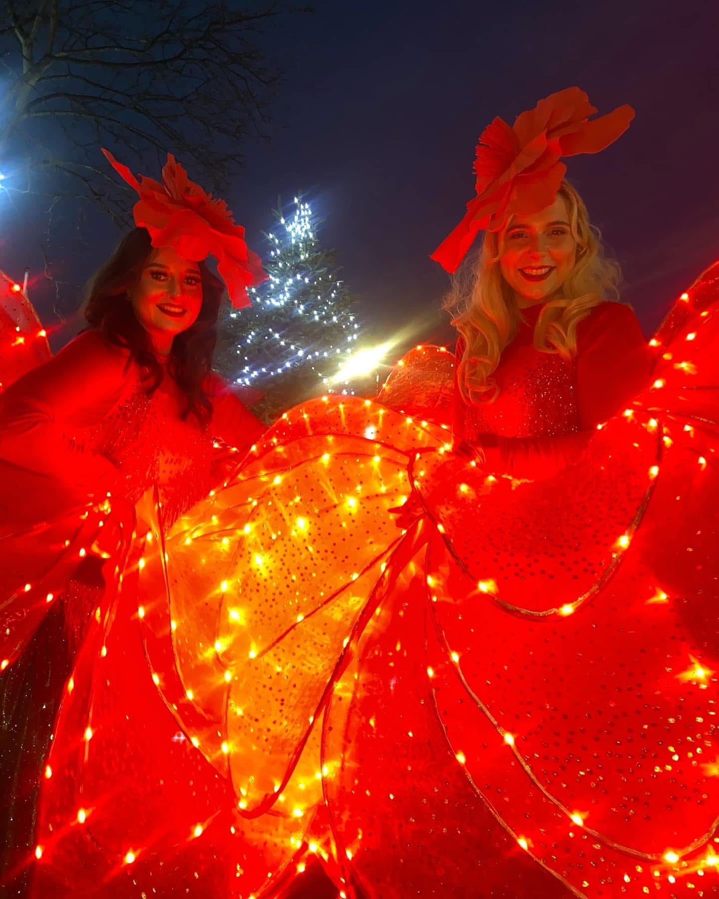 Petals of Light photo