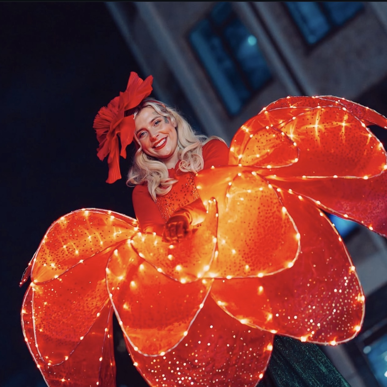 Petals of Light hero image